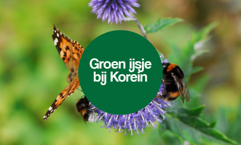 Groene Wijk Week Duurzaamheidspact Eindhoven de Tempel